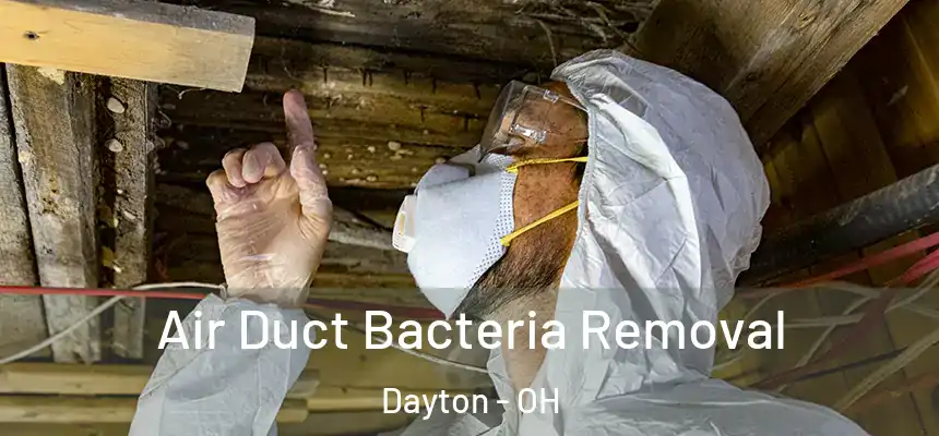  Air Duct Bacteria Removal Dayton - OH