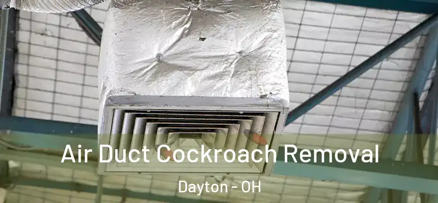  Air Duct Cockroach Removal Dayton - OH