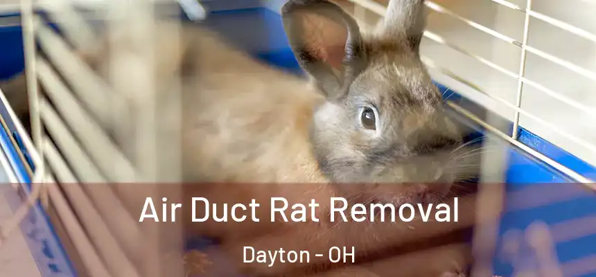  Air Duct Rat Removal Dayton - OH