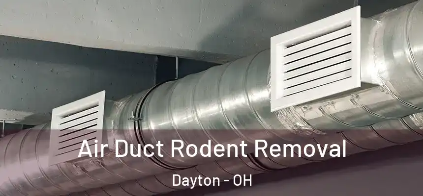  Air Duct Rodent Removal Dayton - OH