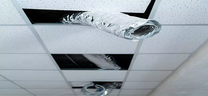 Our Air Duct Pet Hair Removal Services in Dayton, OH