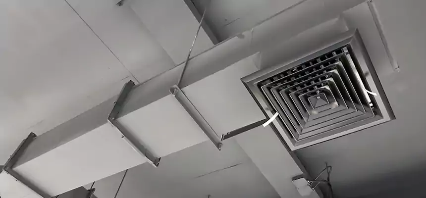 Our Rodent Droppings In Vents Services in Dayton, OH