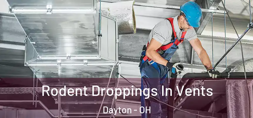  Rodent Droppings In Vents Dayton - OH